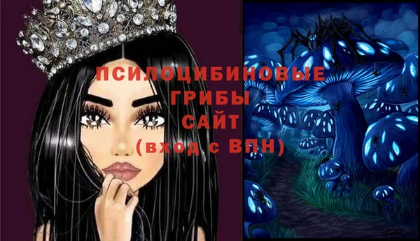 прущий лед Лагань