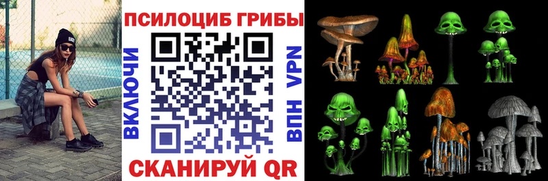 Галлюциногенные грибы GOLDEN TEACHER Межгорье